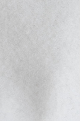 Світшот жіночий